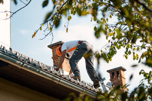 Best Roof Leak Repair  in Hudson, IA