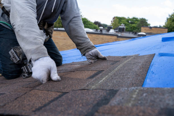 Best Sealant for Roof  in Hudson, IA