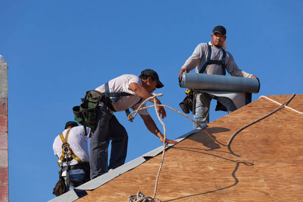 Best Roof Gutter Cleaning  in Hudson, IA