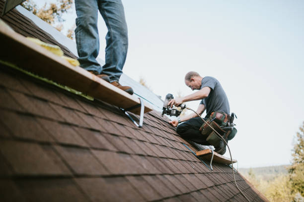 Best Roof Repair Services  in Hudson, IA