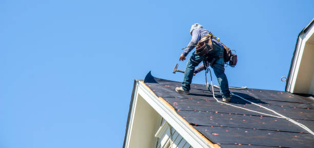 Best Metal Roofing Contractor  in Hudson, IA